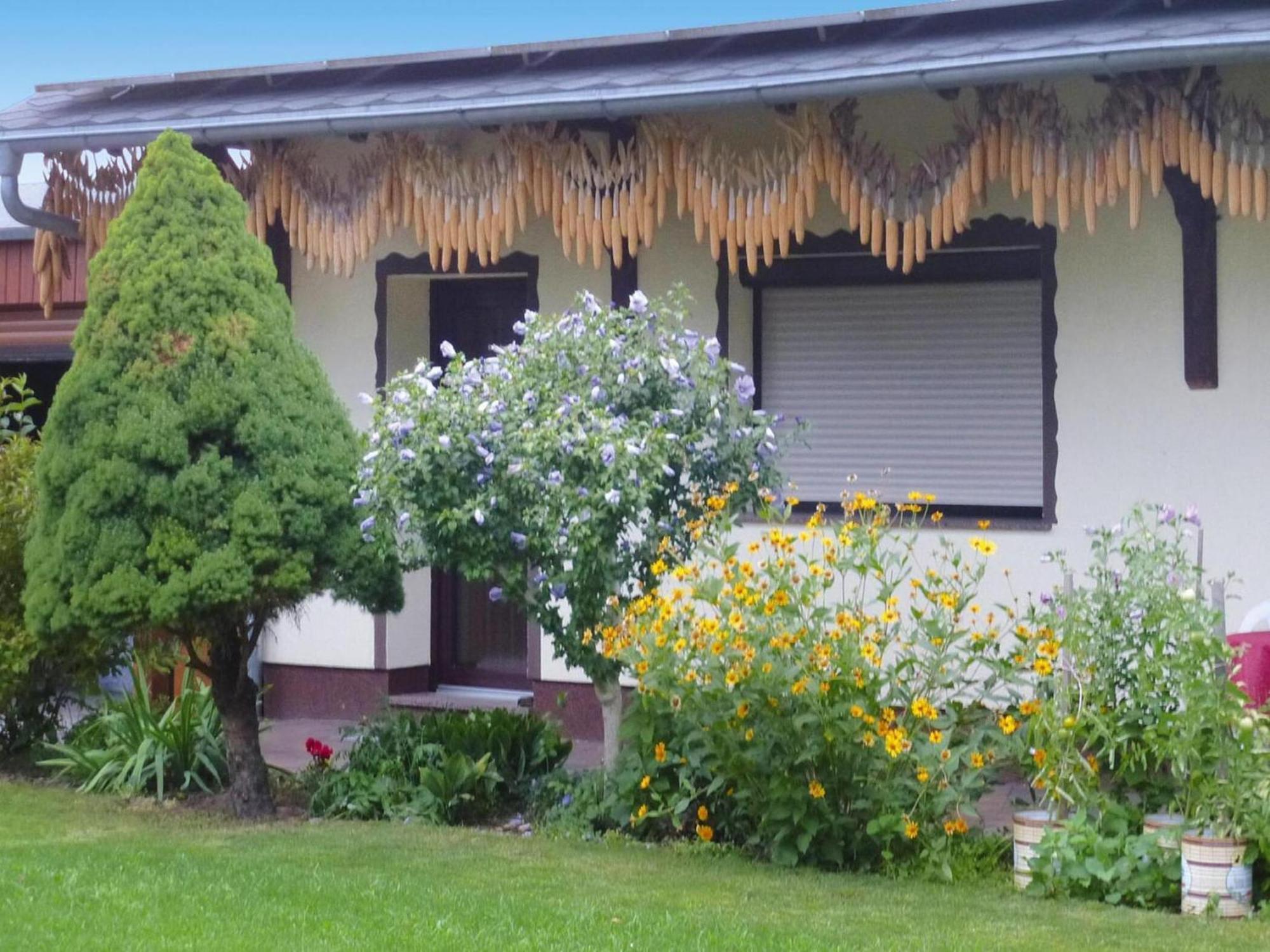 Bungalow In Luebben An Der Spree מראה חיצוני תמונה