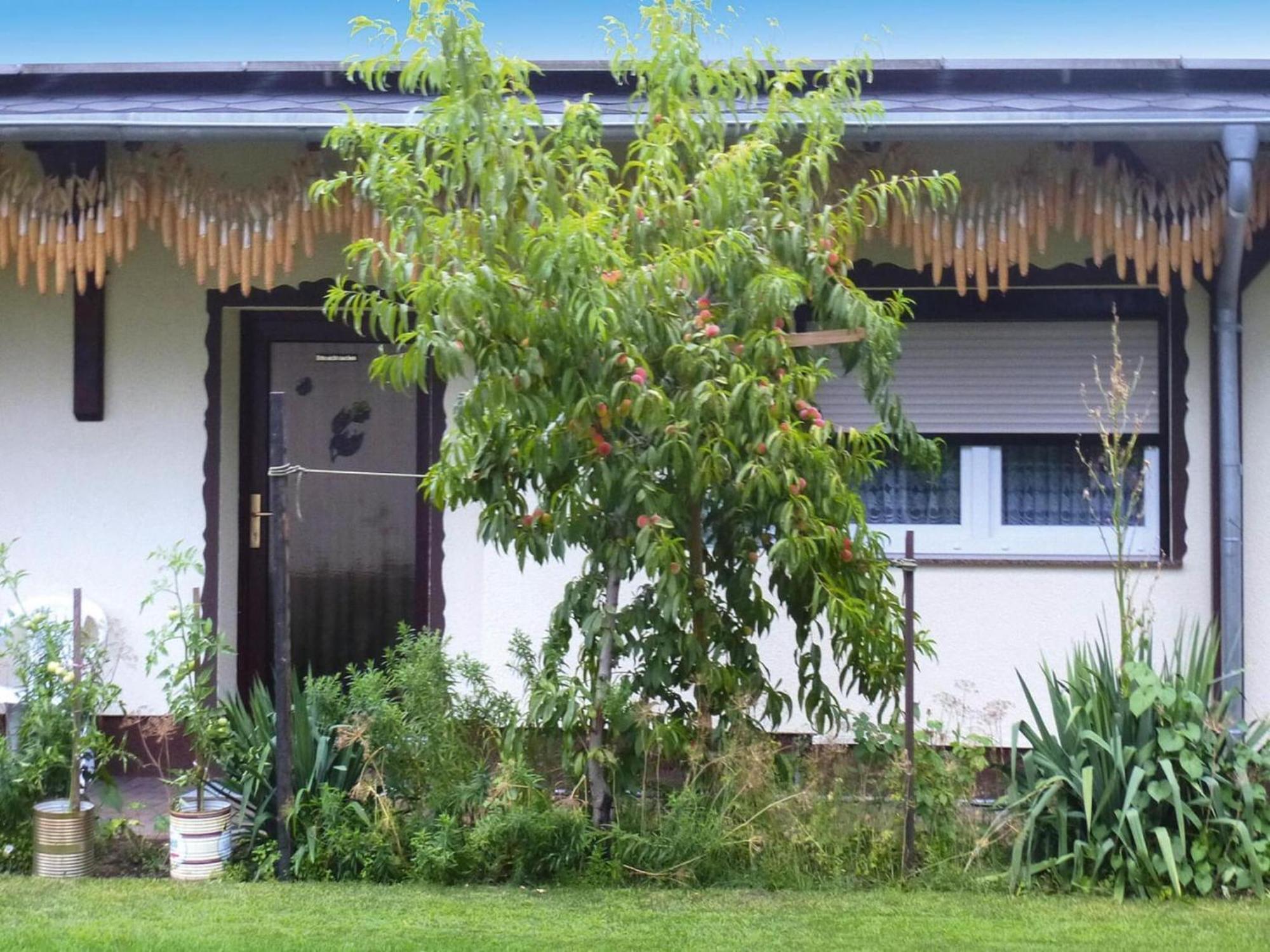 Bungalow In Luebben An Der Spree מראה חיצוני תמונה